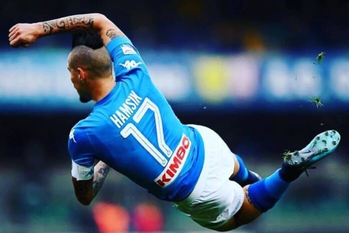 Hamsik